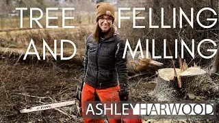 Ashley Harwood Learns to Fell a Giant Ash Tree!