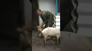 Сходил к соседям килограмм картошки взять...