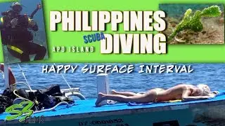 Marine Biologist Explains Unique Philippines Marine Life Epic SCUBA Diving| Next Stop