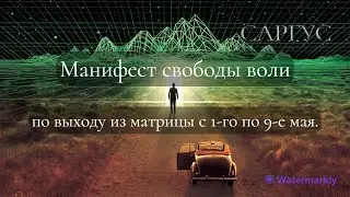 #159  Манифест свободы воли по выходу из матрицы с 1-го по 9-е мая