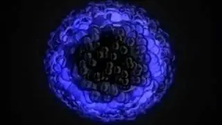Waveform animation