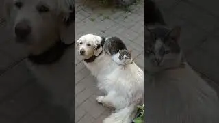 Вопреки поговорке...