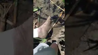 Lose your shoes - Part 4