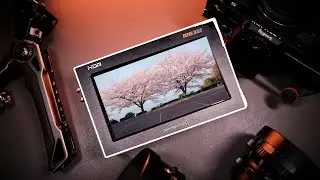 MUST HAVE for Fujifilm Filmmakers ? - Blackmagic Video Assist 12G 5inch