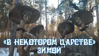 В некотором царстве зимой