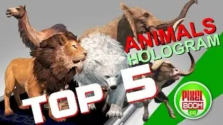 TOP 5 Video Animals - 3D Hologram Project - PixelBoomCG