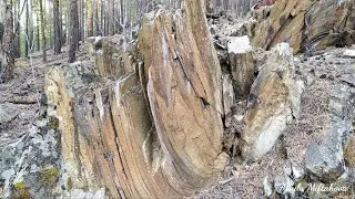 На скалах. 