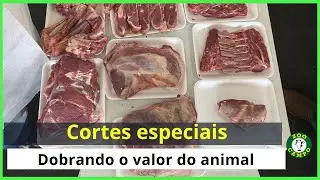 Cortes nobres em ovinos.
