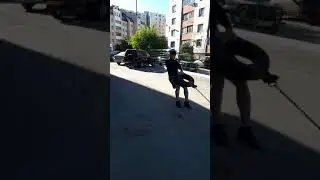Александр против кега+гантель