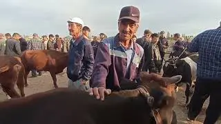 5-СЕНТЯБРЬ/2024/ХАЛКАБАД МАЛ БАЗАРЫ/ДЕМ БЕРМЕС МАЛ БАЗАР
