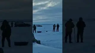 #fishing