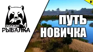 🔴 РУССКАЯ РЫБАЛКА 4 // ПУТЬ НОВИЧКА!!!🔴