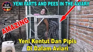 YENI FARTS AND PEES IN AN AVIARY OR BIRD CAGE, I SWEAR IT'S FUNNY