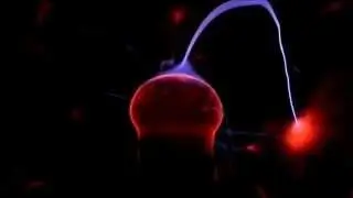 Plasma