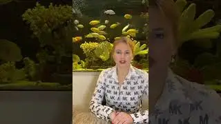 Самоценность.