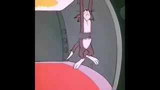 Tom & Jerry-Tom Cut into 2😂