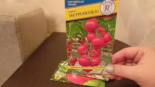 Лучшие гибриды томатов для теплиц.23.09.2021
