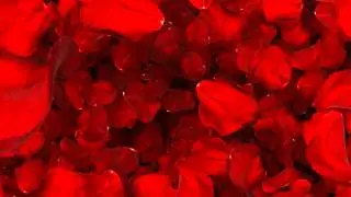 Valentine Background video effects,  background video loop, Valentine VALENTINE ROSE alpha channel,