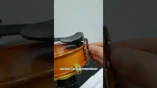 Одна из причин призвуков при игре на скрипке.