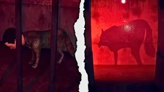 I Found a Cult That Can Turn Themselves Into... Dogs? | Night People