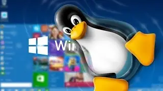 Топ - 5 дистрибутивов Linux для новичков!