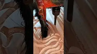 Final layer wood remove #shorts #wood #youtubeshorts