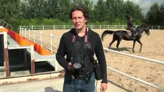 Profoto B2:  обзор аккумуляторного генератора от фотографа Дмитрия  Евтифеева