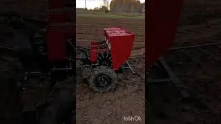 Посадили гектар чеснока за 4 часа 🚜