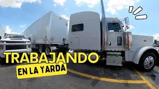 Trabajando en la Yarda -