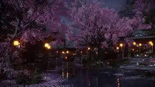 Midnight Blossom Village Where Winds Meet Live Wallpaper