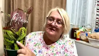 🔥НЕ СМОГЛА УДЕРЖАТЬСЯ И КУПИЛА ЕЩЕ ОДИН ЦВЕТОК😱@MAMALENA