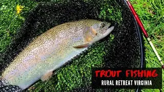 Trout Fishing for GIANT Rainbow Trout near Wytheville Virginia (Rural Retreat - 2022)