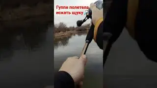 Анимация джерка Guppie, в заводи малой реки, по пассивной щуке