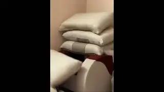 Коты. Что это было Cats. What was that