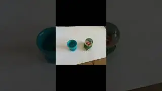 Silly Egg Cup Animation