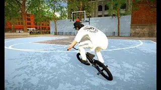 2 short lines BMX STREETS PIPE
