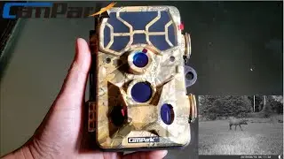 Campark T80 Trail Camera | Unboxing & Technical Issues