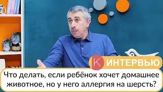 Что делать, если ребенок хочет домашнее животное, но у него аллергия на шерсть? - Доктор Комаровский