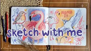 Fill a Sketchbook Spread with Me 🦩 Doodling Colorful Birds