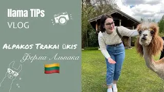 Семейный Vlog из нашей поездки в Alpakos Trakai ūkis | куда създить на выходные в Литве | Llama TIPs