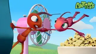 Blown Away 🔴NEW EPISODE🔴| Funny Cartoons For All The Family! | Funny Videos for kids | ANTIKS 🐜🌿