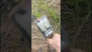 5 июня 2022 г.
