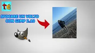COME SFOCARE UN VOLTO CON GIMP