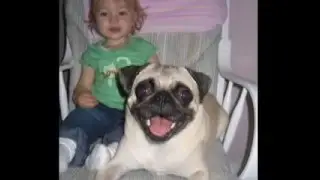 Best Friends (Rosco 7/28/2003 - 7/17/2018)