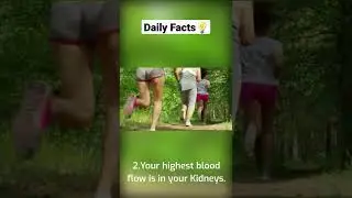3 Interesting Facts about Our Human body !!🔥  Follow for more interesting Daily Facts !!!💡
