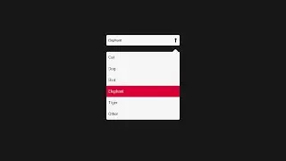 Make Dropdown Using CSS & JS