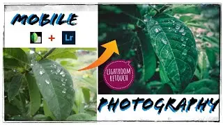 how to edit mobile photography || mobile photography tips|| how to edit witu snapseed+lightroom