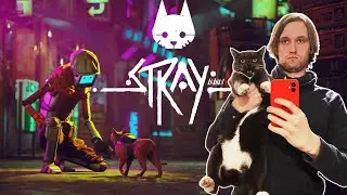 Стрим с кибер прохождением котика мяу-мяу-мяу | Stray #1
