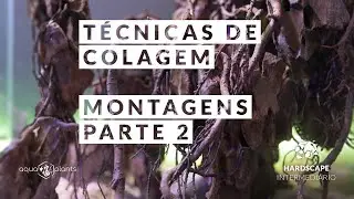 Técnicas de colagem em aquários plantados - Montagens Parte 2 - Hardscape - Intermediário
