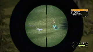 TheHunter Call Of The Wild!! Silver Ridge Peaks Diamond Hunt!!